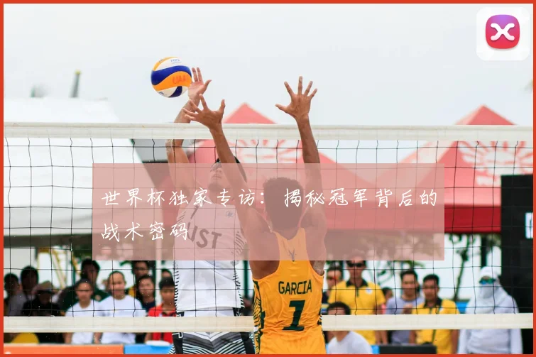世界杯独家专访：揭秘冠军背后的战术密码