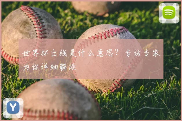 世界杯出线是什么意思？专访专家为你详细解读