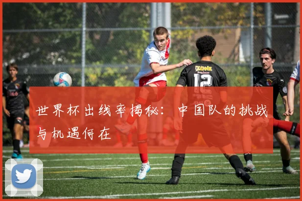 世界杯出线率揭秘：中国队的挑战与机遇何在