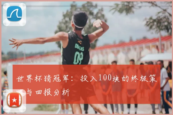 世界杯猜冠军：投入100块的终极策略与回报分析