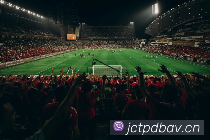 星空网页版官网入口平台生态图